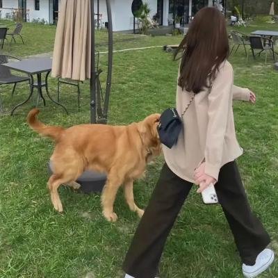 我亲昵而温柔的野兽